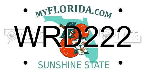 WRD222 Florida License Plate