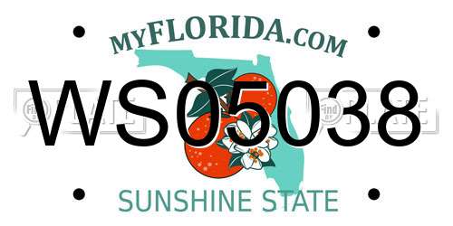 WS05038 Florida License Plate