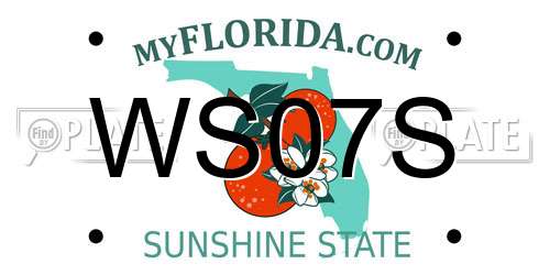 WS07S Florida License Plate