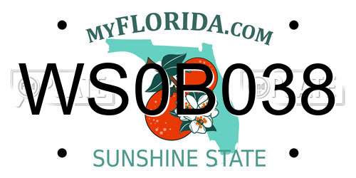WS0B038 Florida License Plate