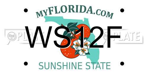 WS12F Florida License Plate