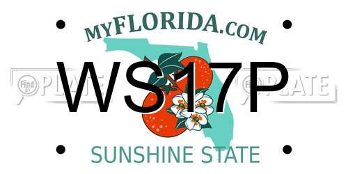 WS17P Florida License Plate