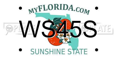 WS45S Florida License Plate