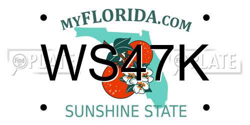 WS47K Florida License Plate