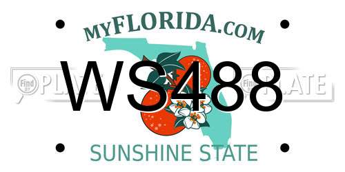 WS488 Florida License Plate