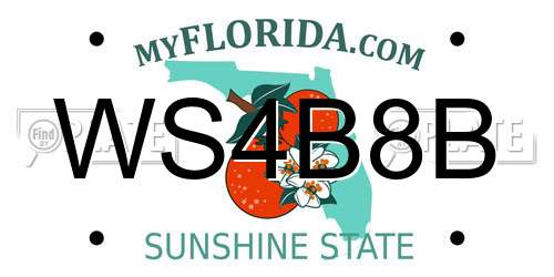 WS4B8B Florida License Plate