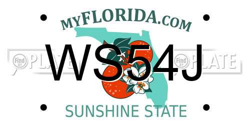 WS54J Florida License Plate