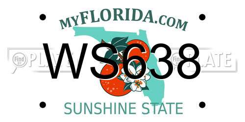 WS638 Florida License Plate