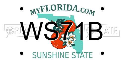 WS71B Florida License Plate