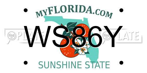 WS86Y Florida License Plate