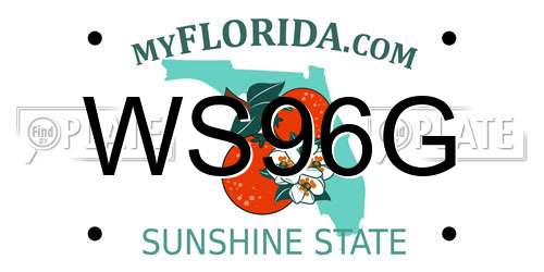 WS96G Florida License Plate