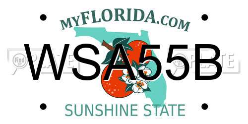 WSA55B Florida License Plate