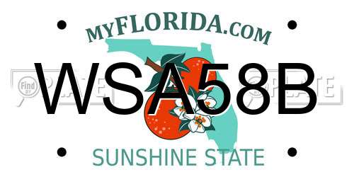 WSA58B Florida License Plate