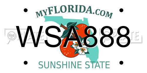 WSA888 Florida License Plate