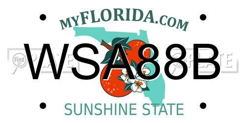 WSA88B Florida License Plate