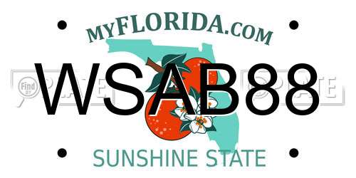WSAB88 Florida License Plate