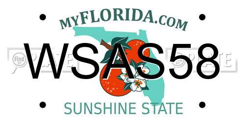 WSAS58 Florida License Plate