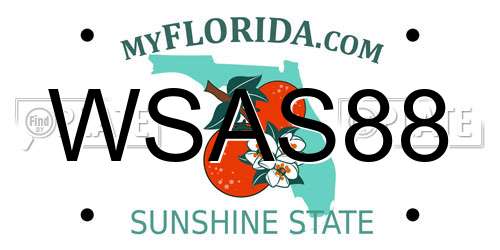 WSAS88 Florida License Plate
