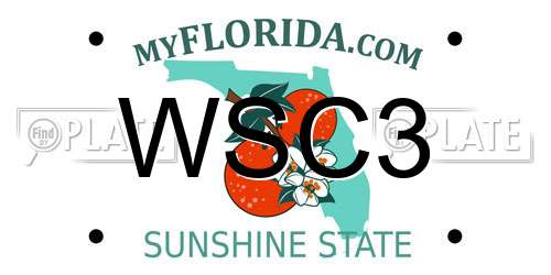 WSC3 Florida License Plate