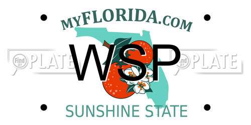 WSP Florida License Plate