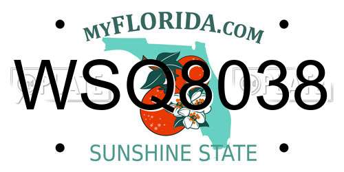 WSQ8038 Florida License Plate