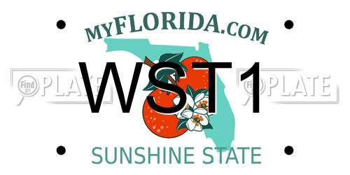 WST1 Florida License Plate