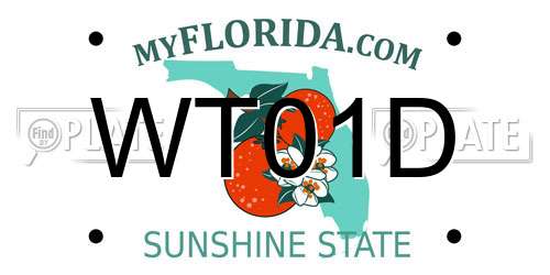 WT01D Florida License Plate