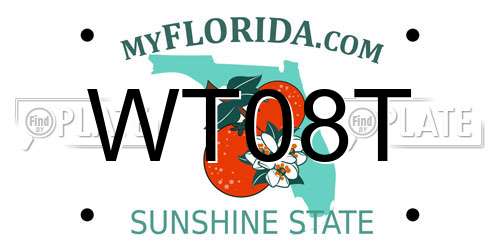 WT08T Florida License Plate