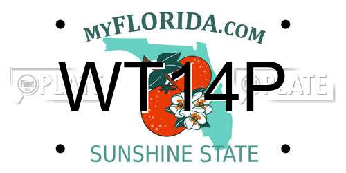 WT14P Florida License Plate