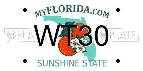 WT30 Florida License Plate