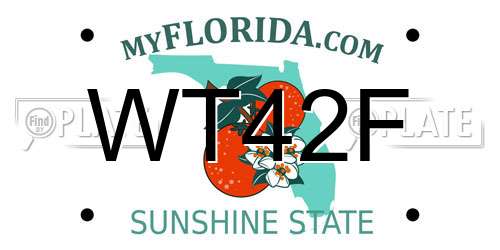 WT42F Florida License Plate