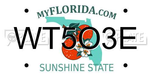WT5O3E Florida License Plate