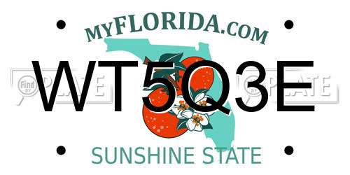 WT5Q3E Florida License Plate