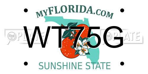 WT75G Florida License Plate