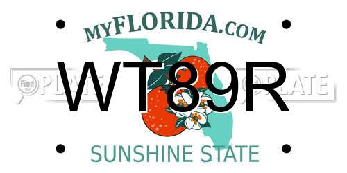WT89R Florida License Plate