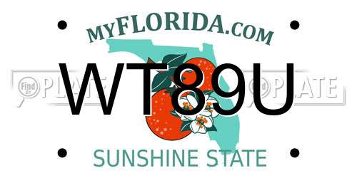 WT89U Florida License Plate