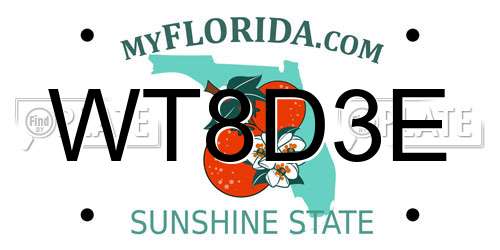 WT8D3E Florida License Plate