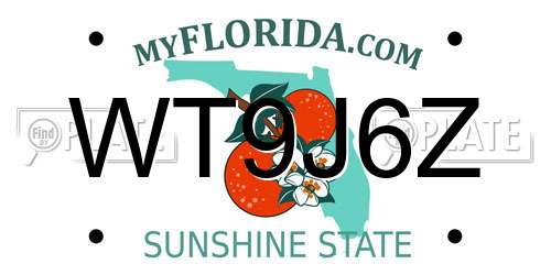 WT9J6Z Florida License Plate