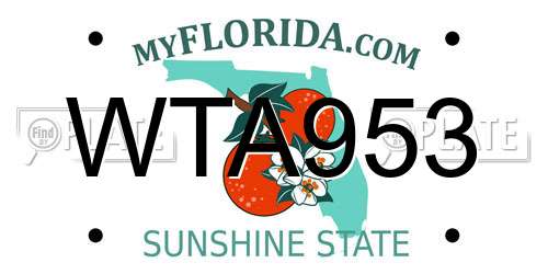 WTA953 Florida License Plate