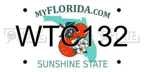 WTC132 Florida License Plate