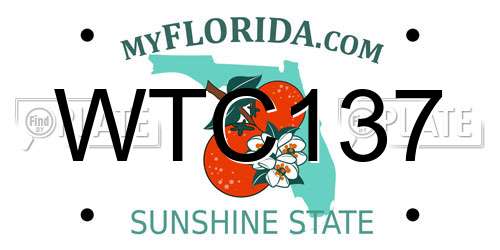 WTC137 Florida License Plate