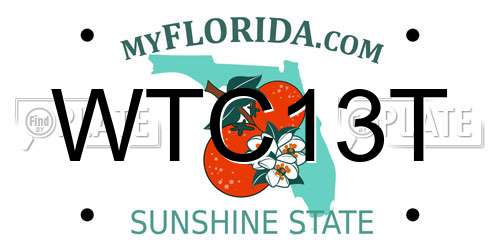 WTC13T Florida License Plate