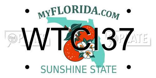 WTCI37 Florida License Plate