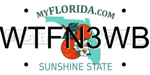 WTFN3WB Florida License Plate