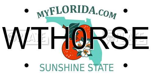 WTH0RSE Florida License Plate