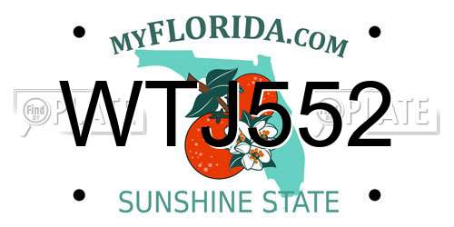 WTJ552 Florida License Plate