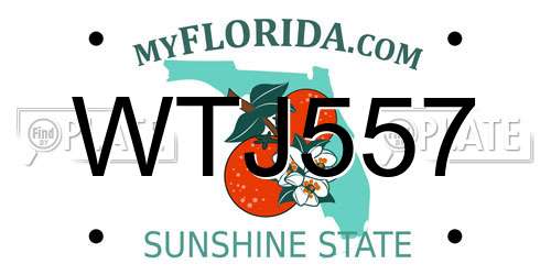 WTJ557 Florida License Plate