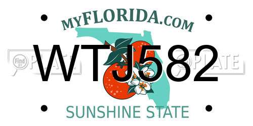 WTJ582 Florida License Plate
