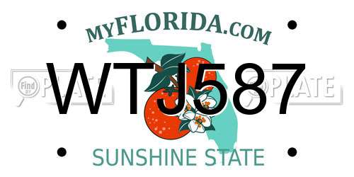 WTJ587 Florida License Plate