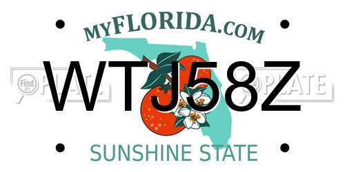 WTJ58Z Florida License Plate